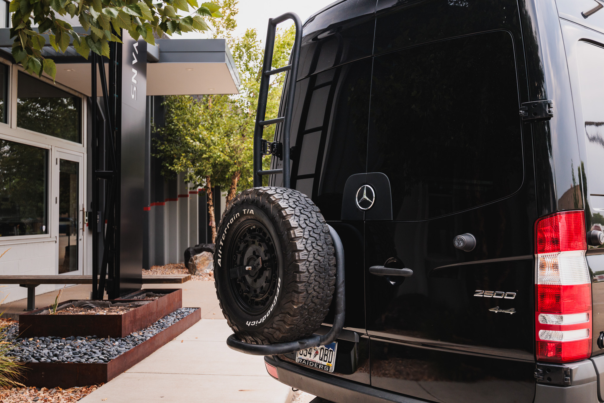 Rear door spare tire carrier and ladder