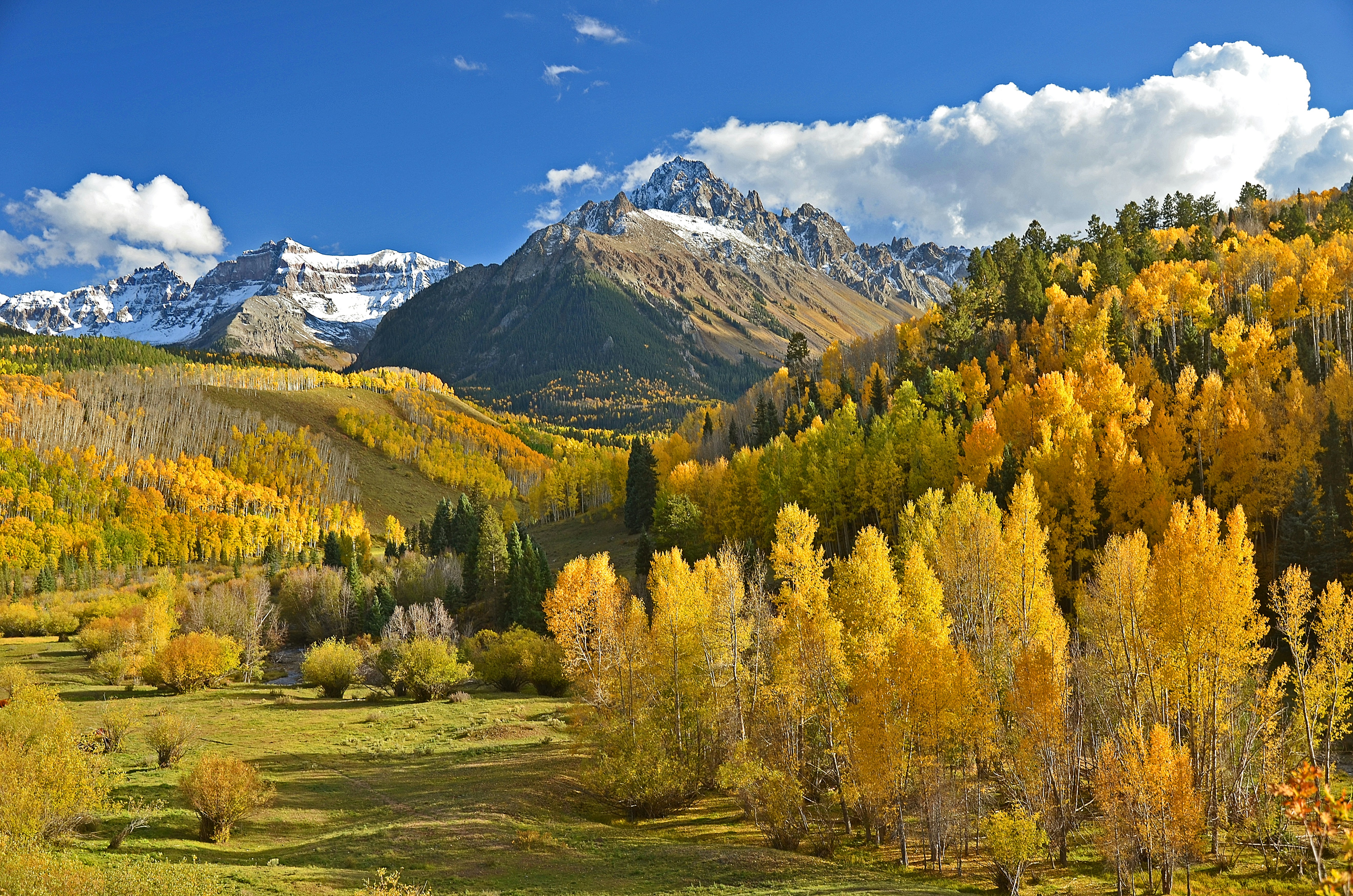 Mountains behind meadows of golden aspens